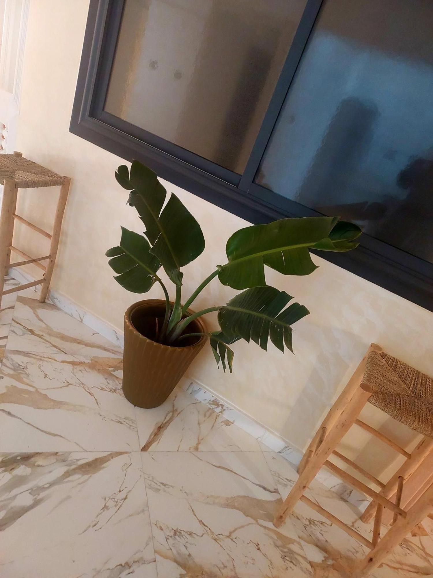 Mogador Appartements T6 Essaouira Luaran gambar