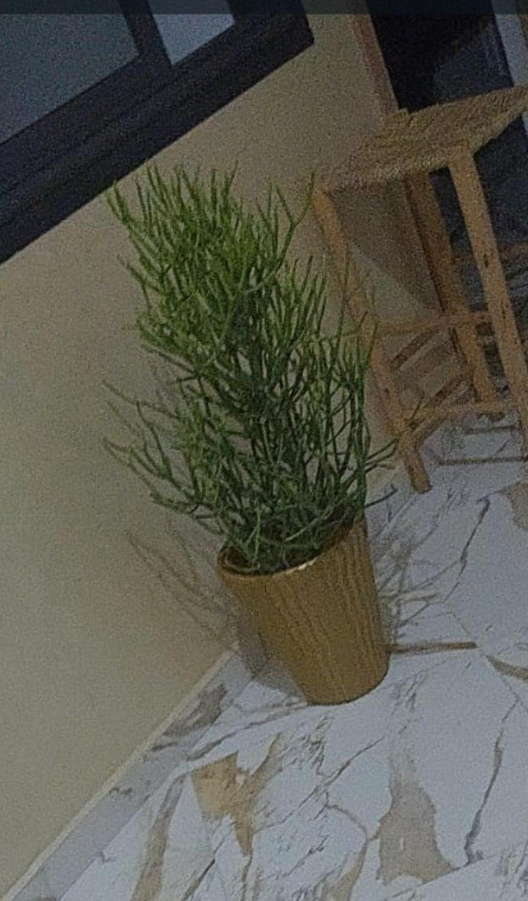 Mogador Appartements T6 Essaouira Luaran gambar